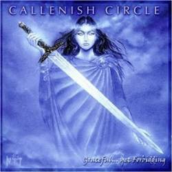 Callenish Circle : Graceful... Yet Forbidding